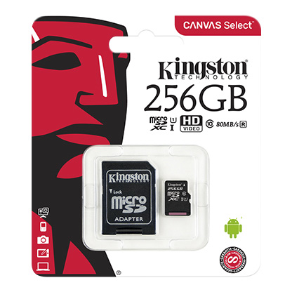 MICRO SD 256 GB